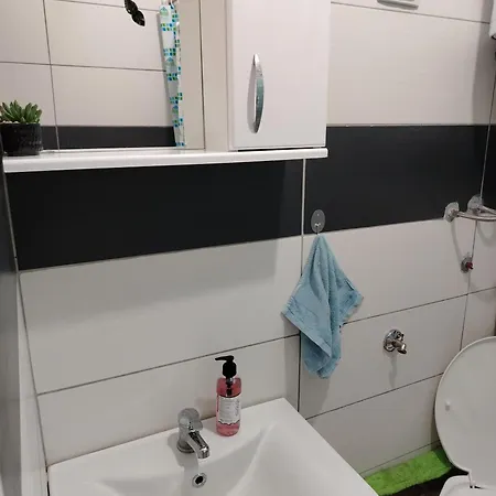 Drago Sutomore 2025 Borca